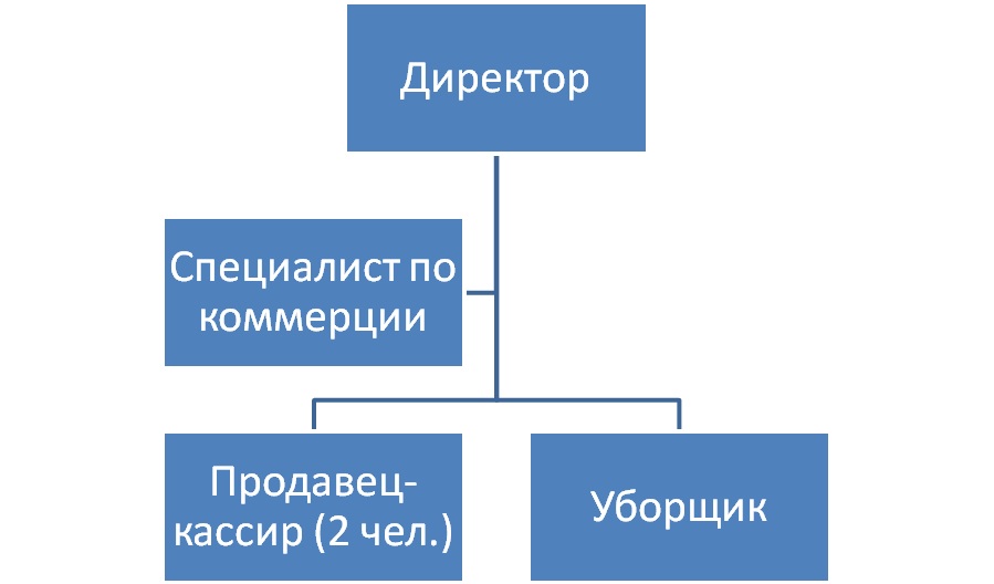 Реферат: Организация торгово-технологического процесса в розничном торговом предприятии 2